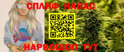 Альфа ПВП Моздок