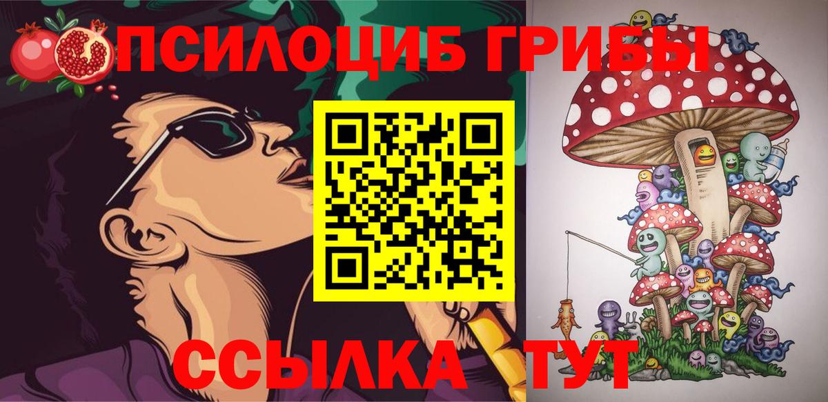 Псилоцибиновые грибы Cubensis  Вход с VPN  Соль-Илецк 