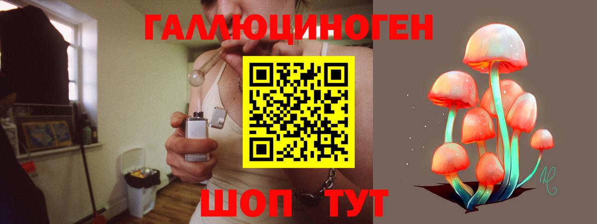 Галлюциногенные грибы Magic Shrooms Соль-Илецк